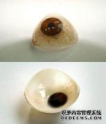 <b>義眼片帶多久要換一次？</b>