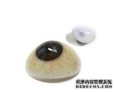 <b>義眼片種類(lèi)具體介紹</b>